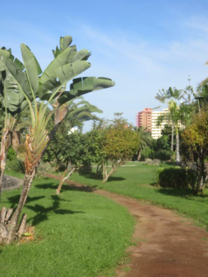Centrico Loft En El Puerto De La Cruz Con Wifi Y Cerca De La Playa Apartment Екстериор снимка